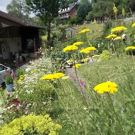 Zur Waldroute Apartman *