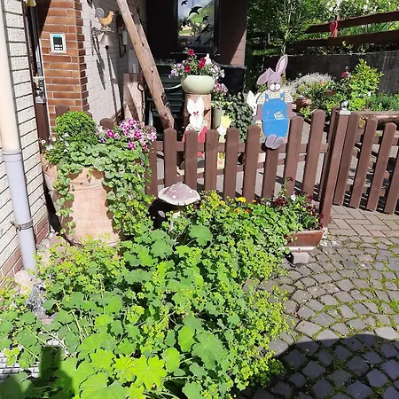 Zur Waldroute