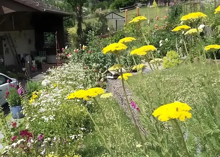 Zur Waldroute Appartement *