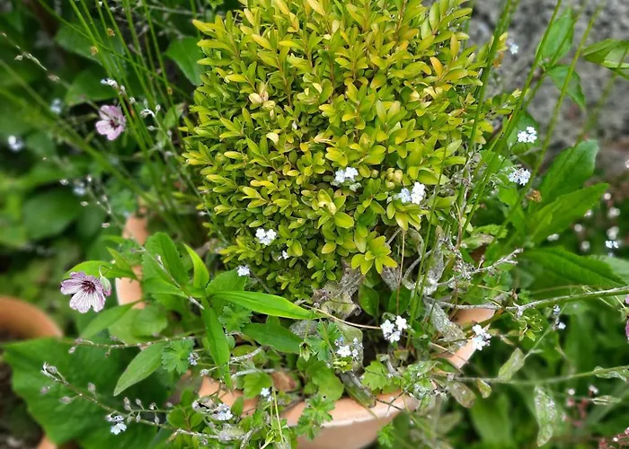 Zur Waldroute Appartement Warstein