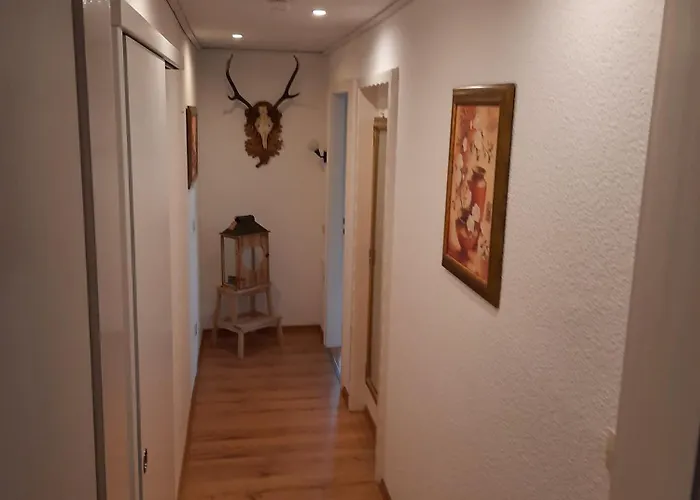 Zur Waldroute Appartement *